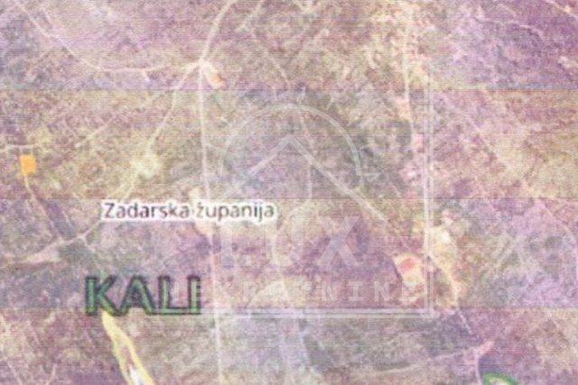 Poljoprivredno zemljište/maslinik, pov. 579 m2, Kali (otok Ugljan)