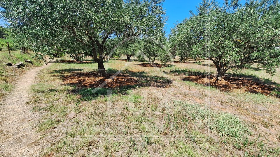 Building plot 1180 m2, Bibinje near Zadar, 250 meters from the sea